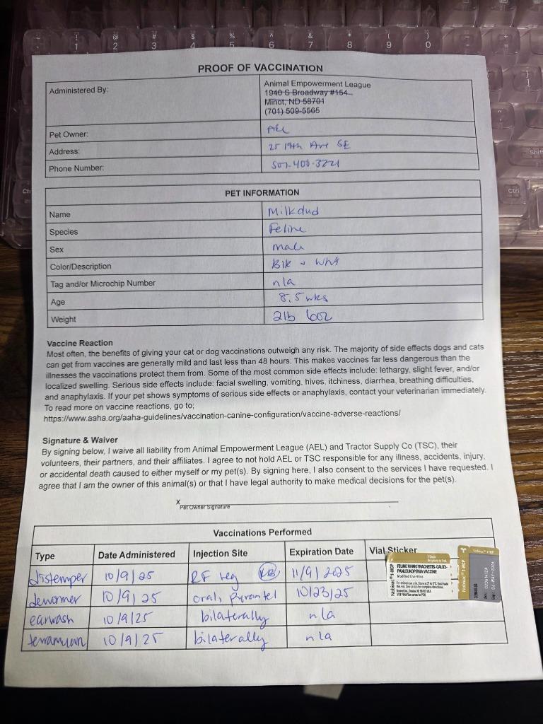 Enlarge Milkdud nka Walter, a Adopted mixed breed in Minot, ND image 2/4