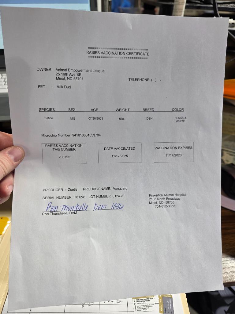 Milkdud, a Adoptable mixed breed in Minot, ND image 4/4