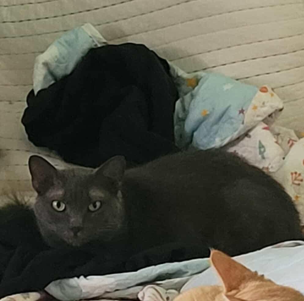 Winifred