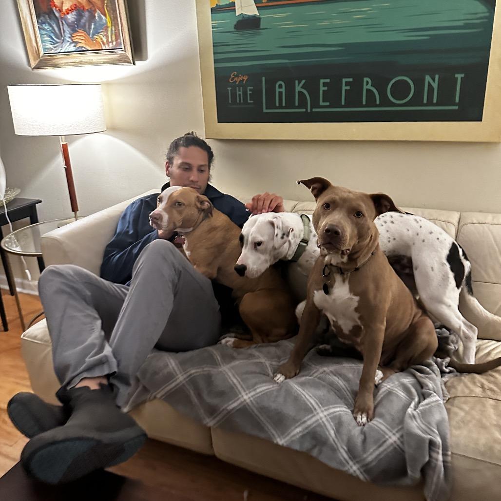 Enlarge Sugar Baby Mama, a Adoptable Mixed Breed in Savannah, GA image 3/6