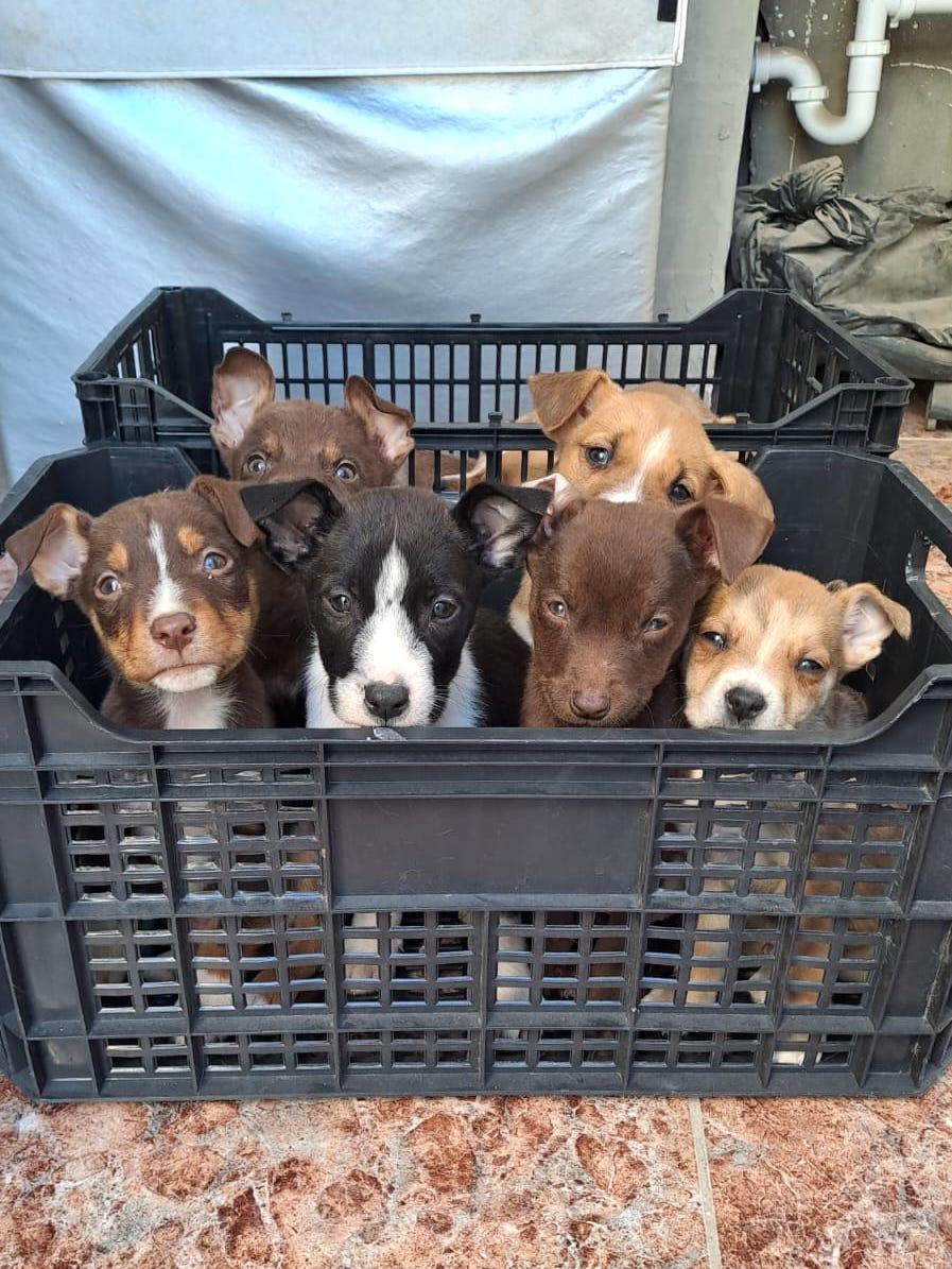 Andy (5) — thumbnail 2