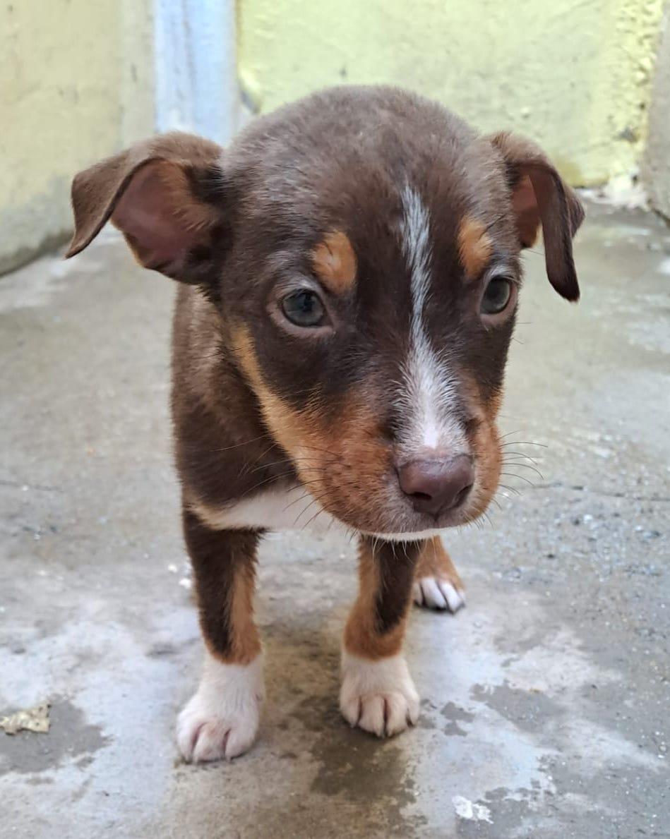 Andy (5) — thumbnail 3