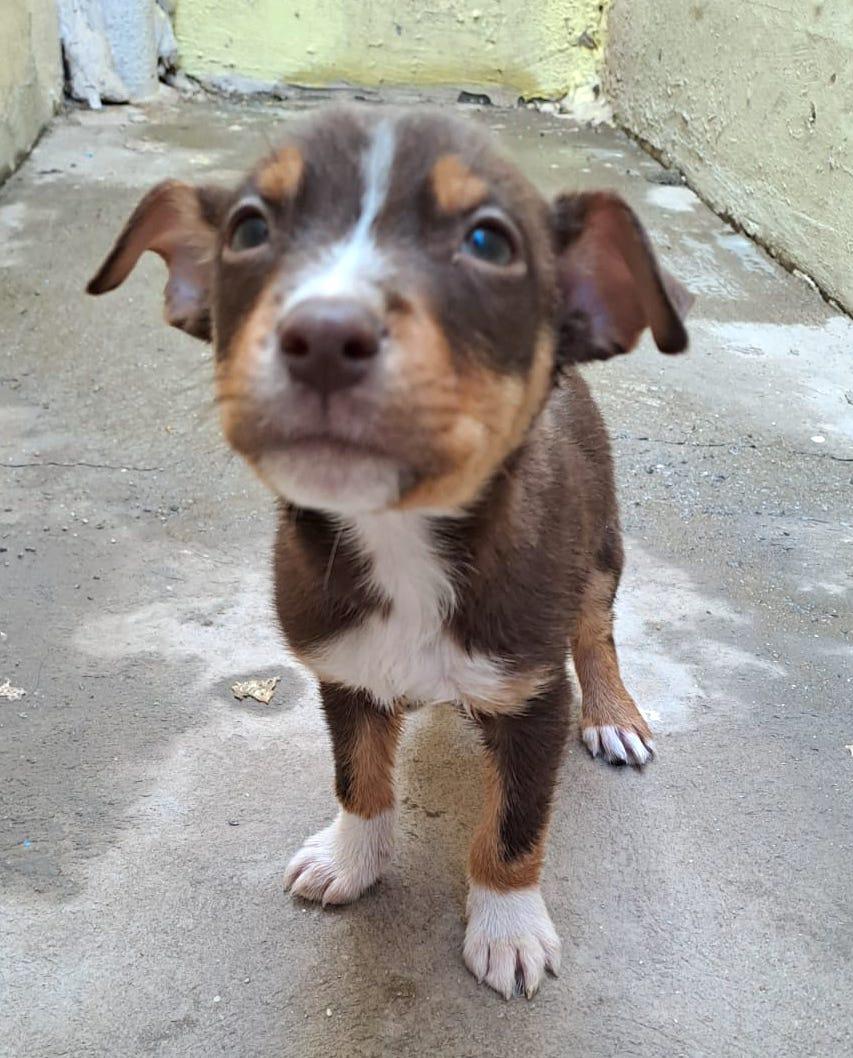 Andy (5) — thumbnail 4