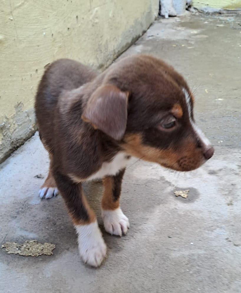 Andy (5) — thumbnail 5