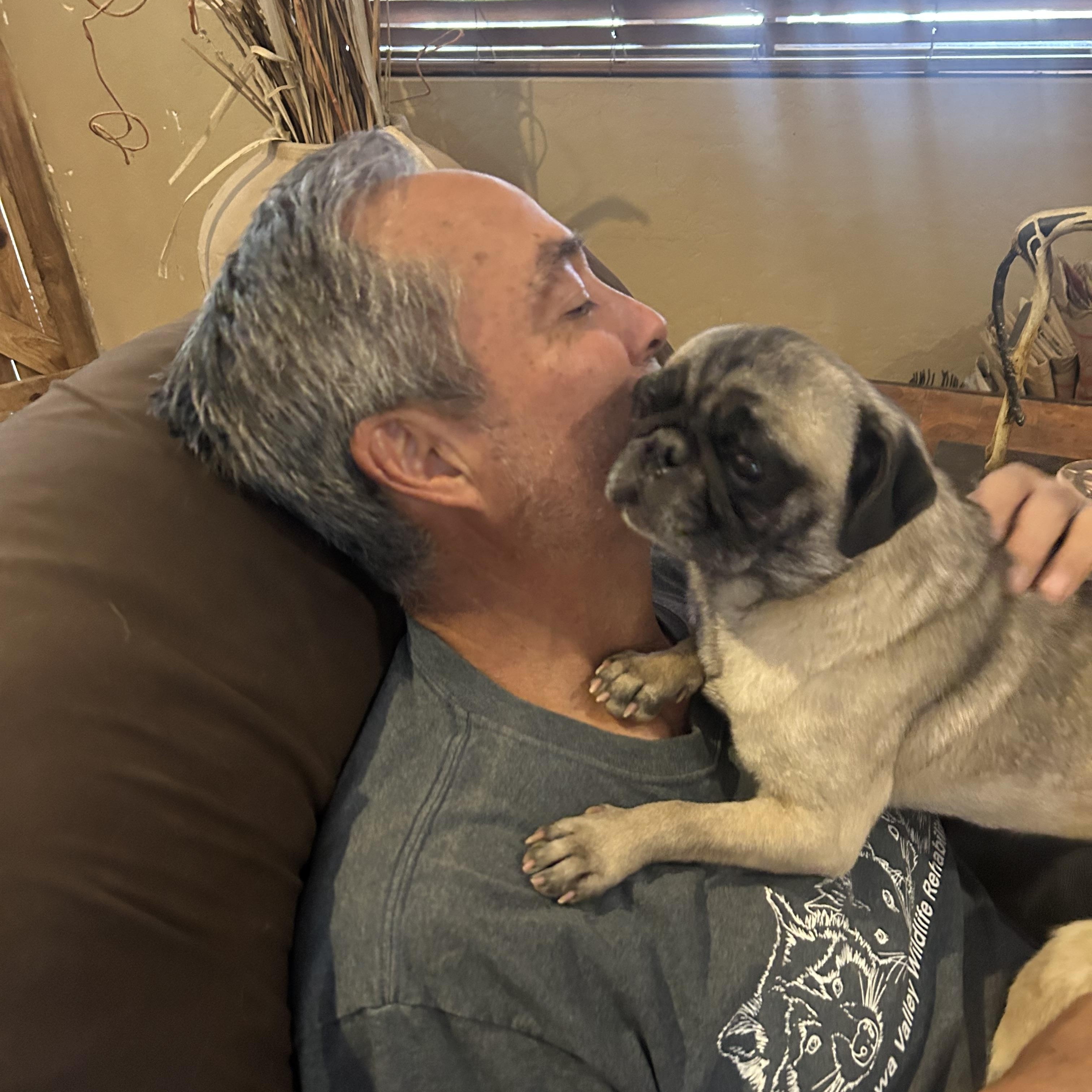 Rylee, Adopted, Young Female Pug.