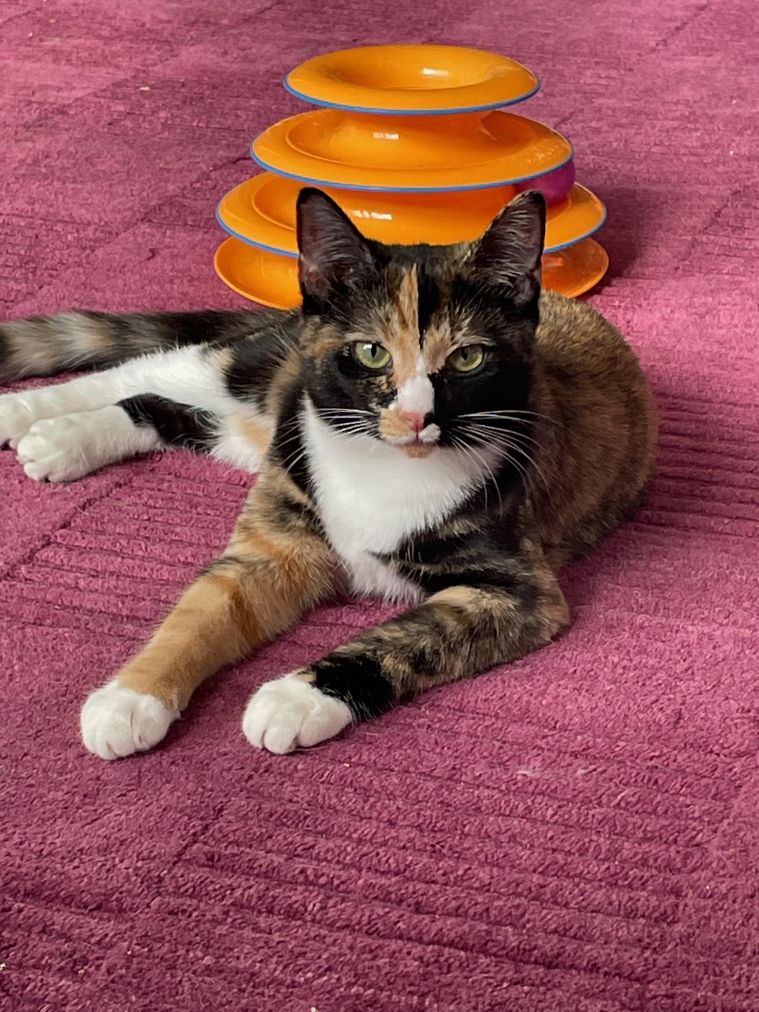 Bora And Zephyr thumbnail 2