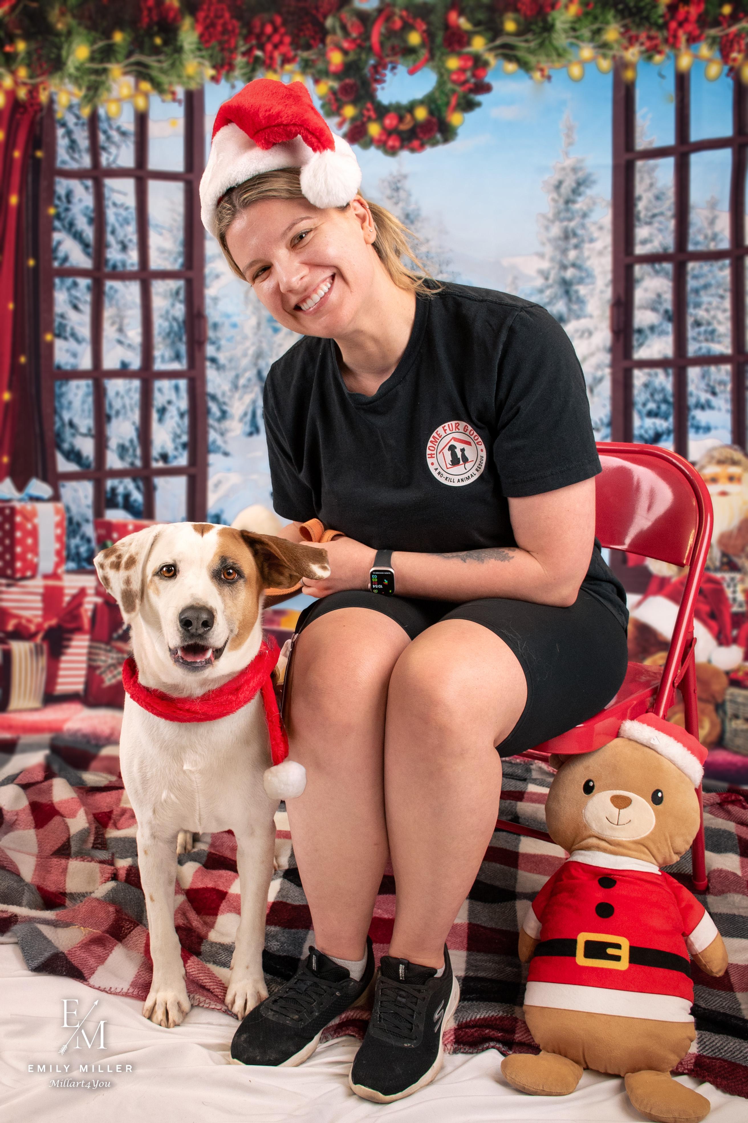 Freddie — thumbnail 2