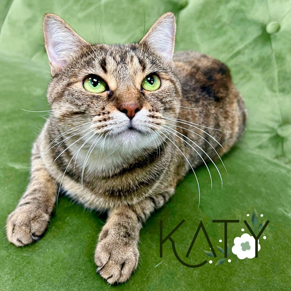 Katy