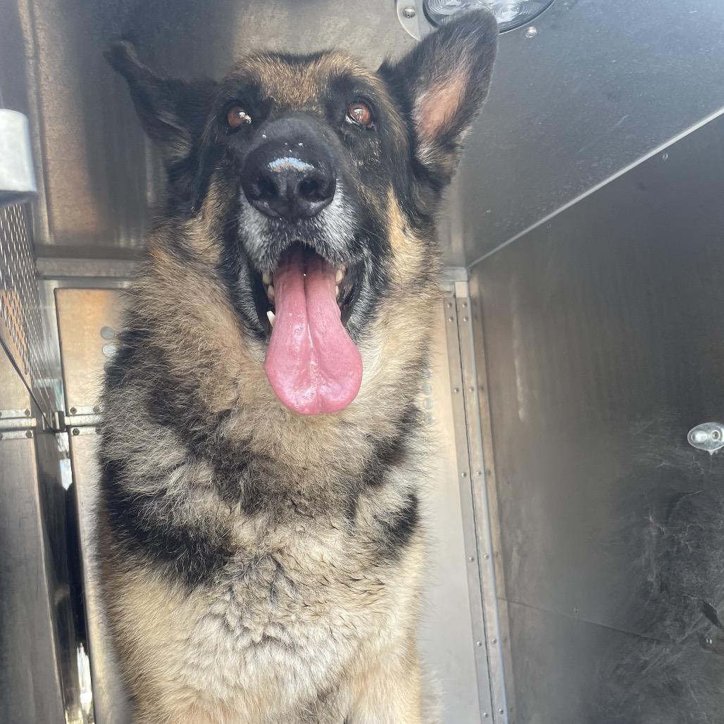 Captain — thumbnail 2