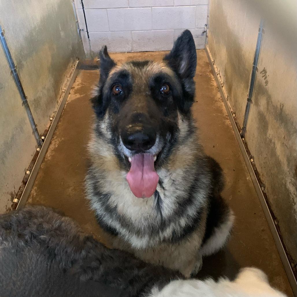 Captain — thumbnail 3