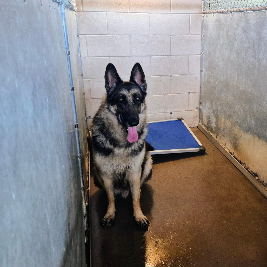 Captain — thumbnail 5