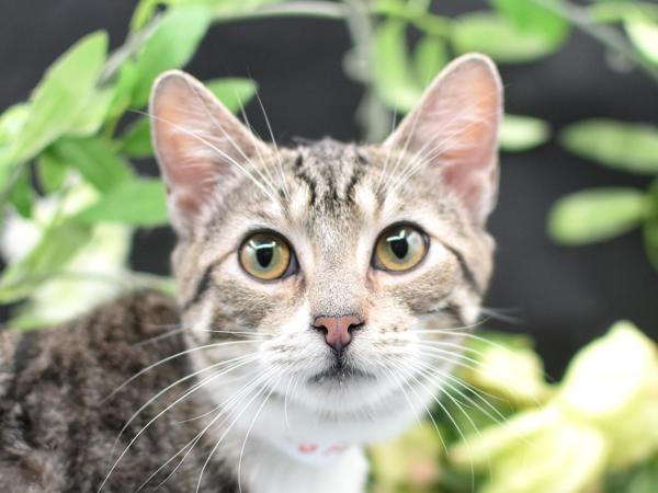 Frida — thumbnail 2