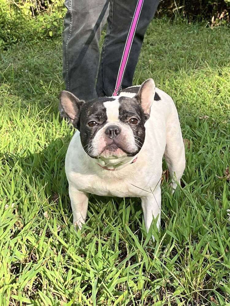 Marlowe Jean thumbnail 2