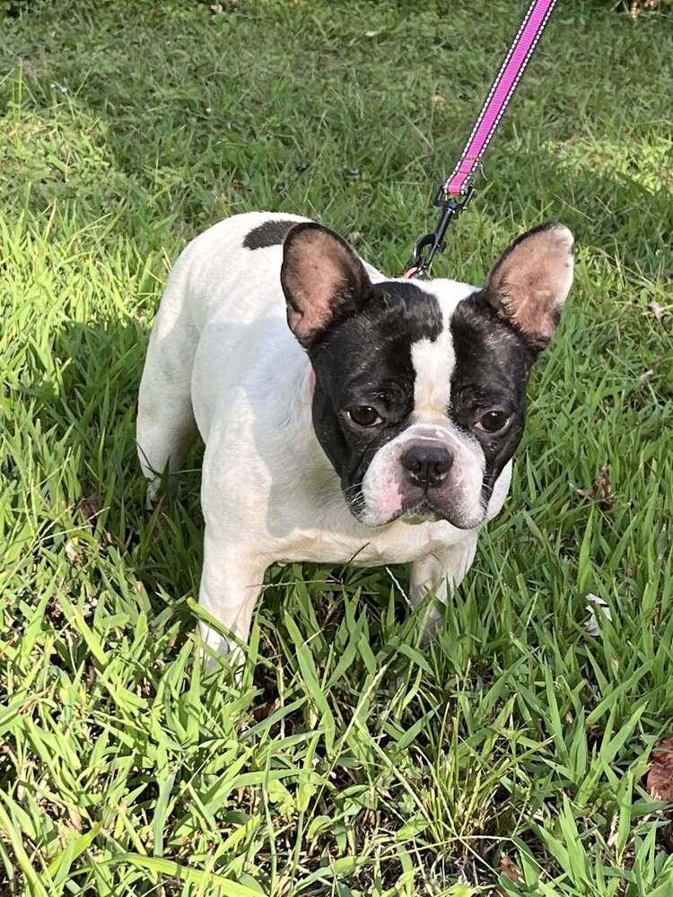 Marlowe Jean thumbnail 3