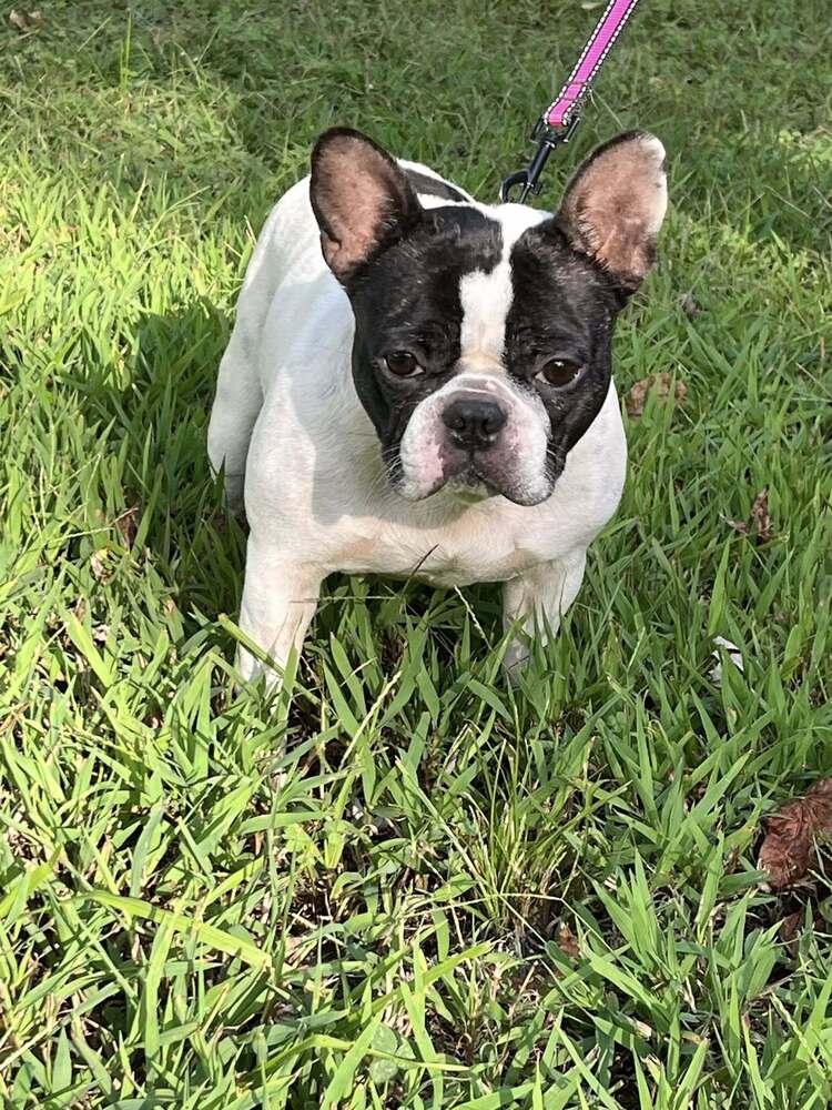 Marlowe Jean thumbnail 4