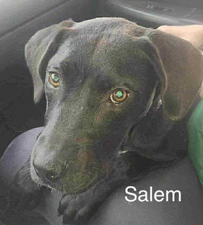 Salem