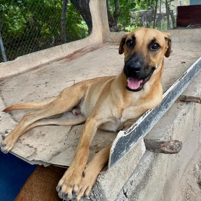 Aquarius — thumbnail 4