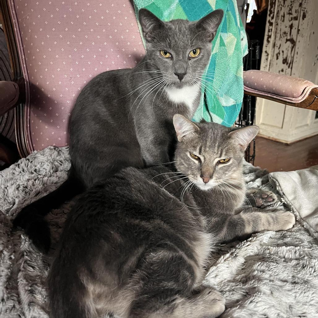 Keefe — thumbnail 2