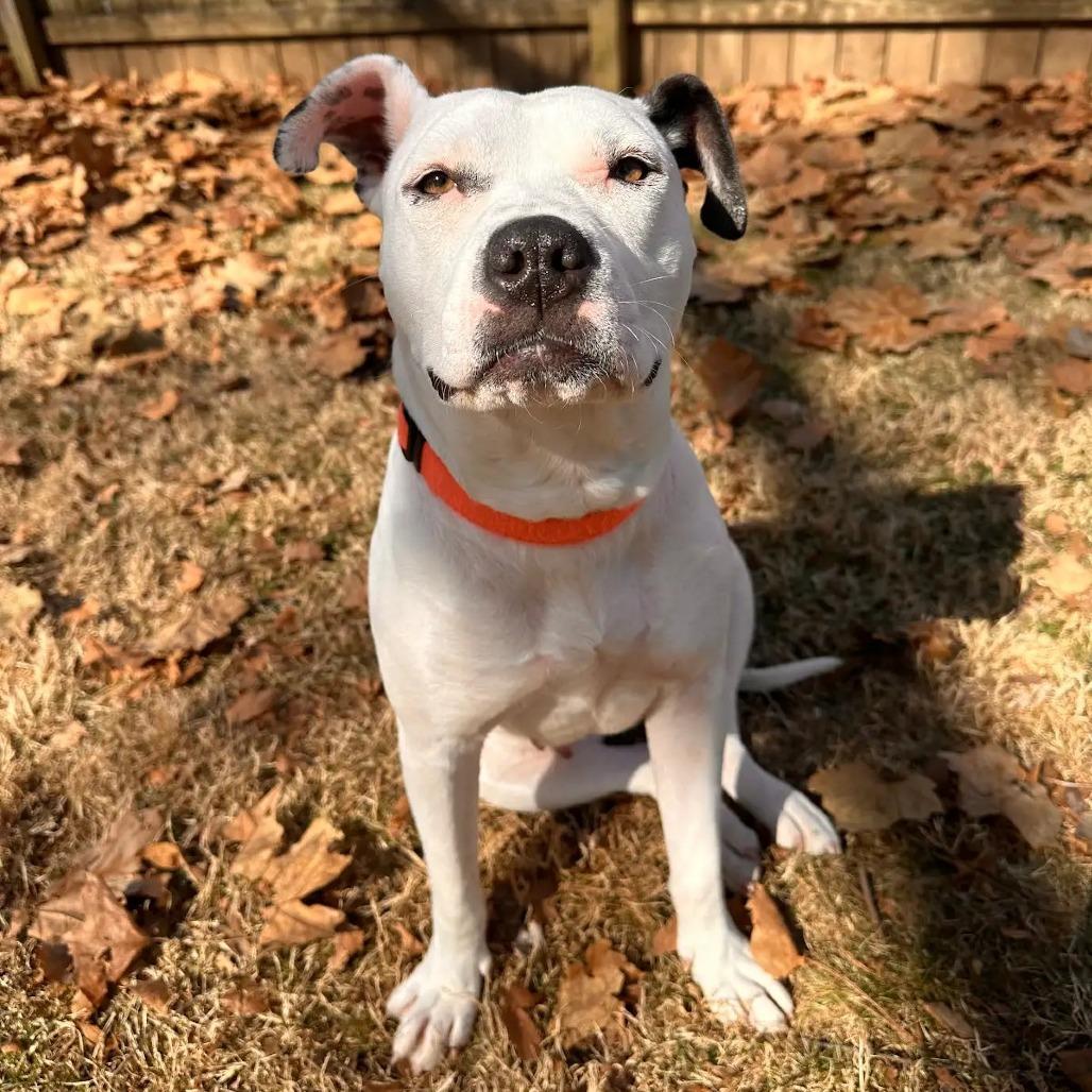 Flaca — thumbnail 3