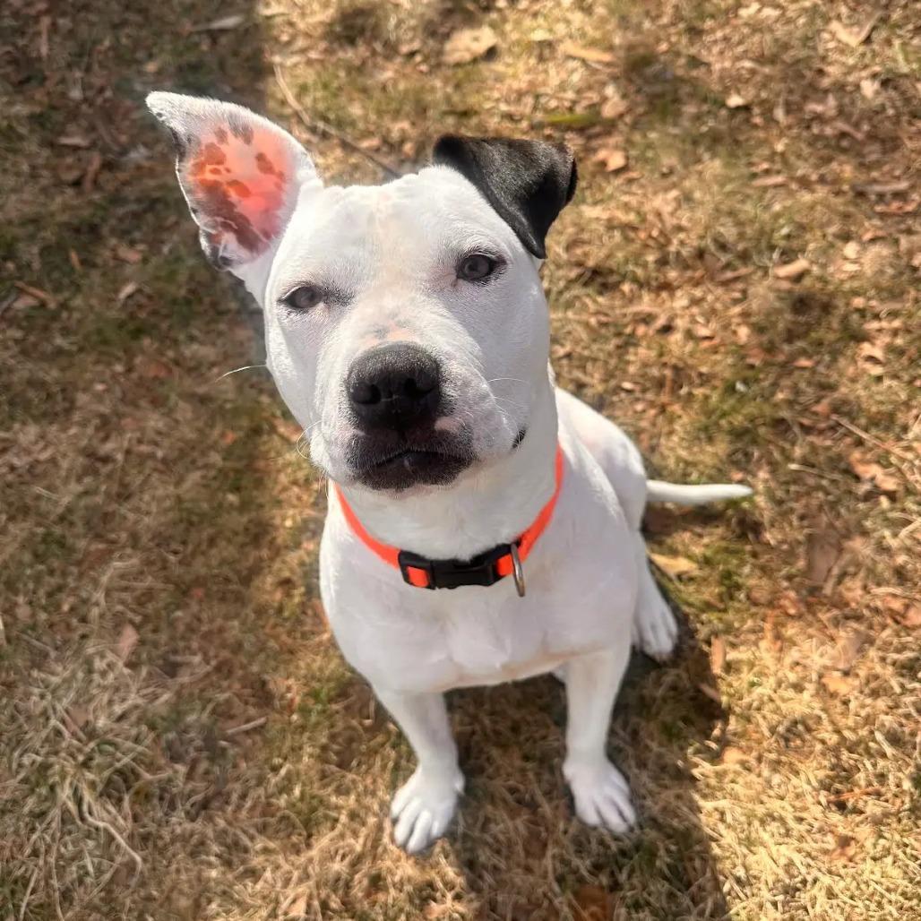 Flaca — thumbnail 5