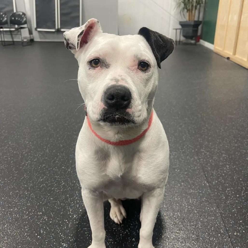 Flaca — thumbnail 6