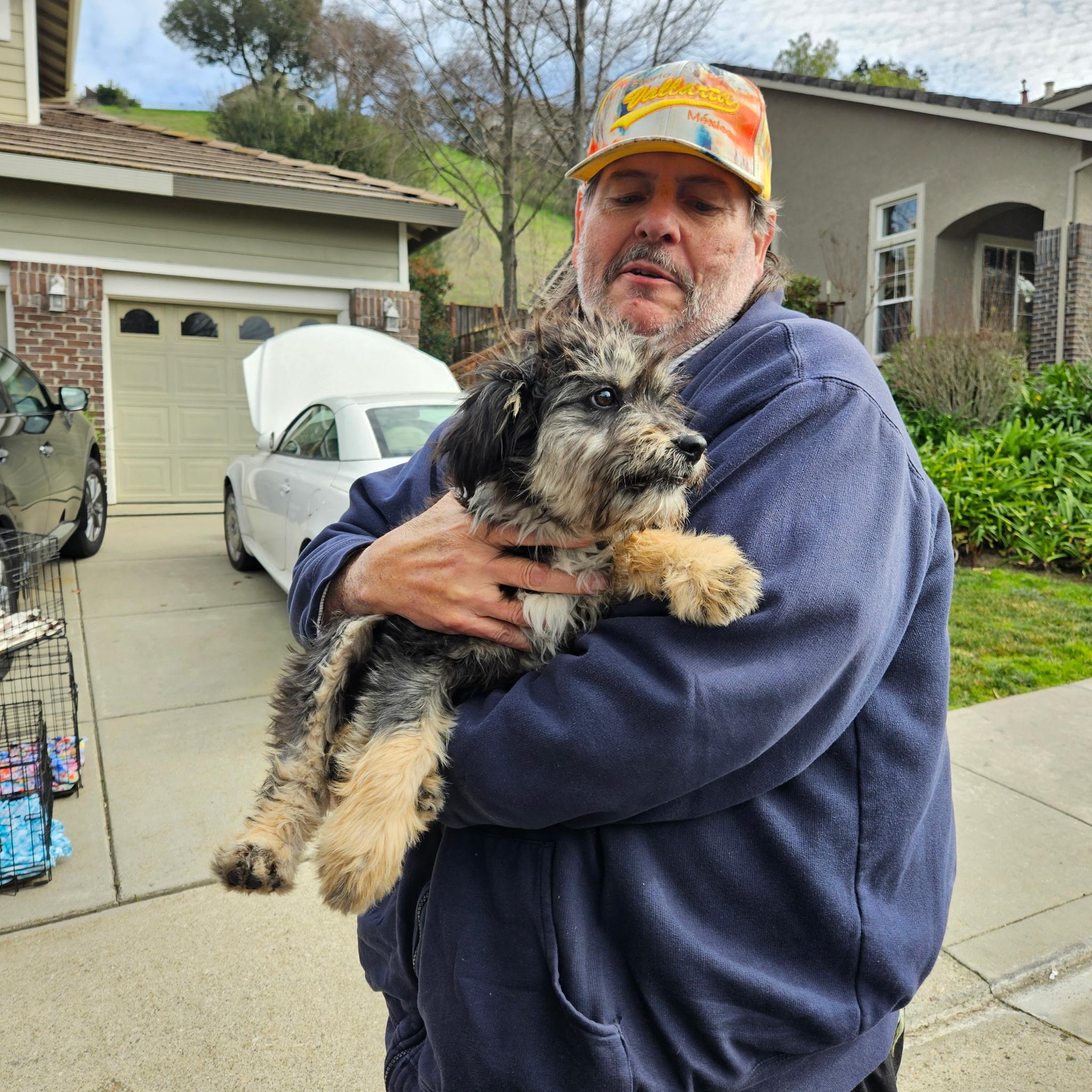 Paloma, an adopted mixed breed in clayton , CA image 5/6