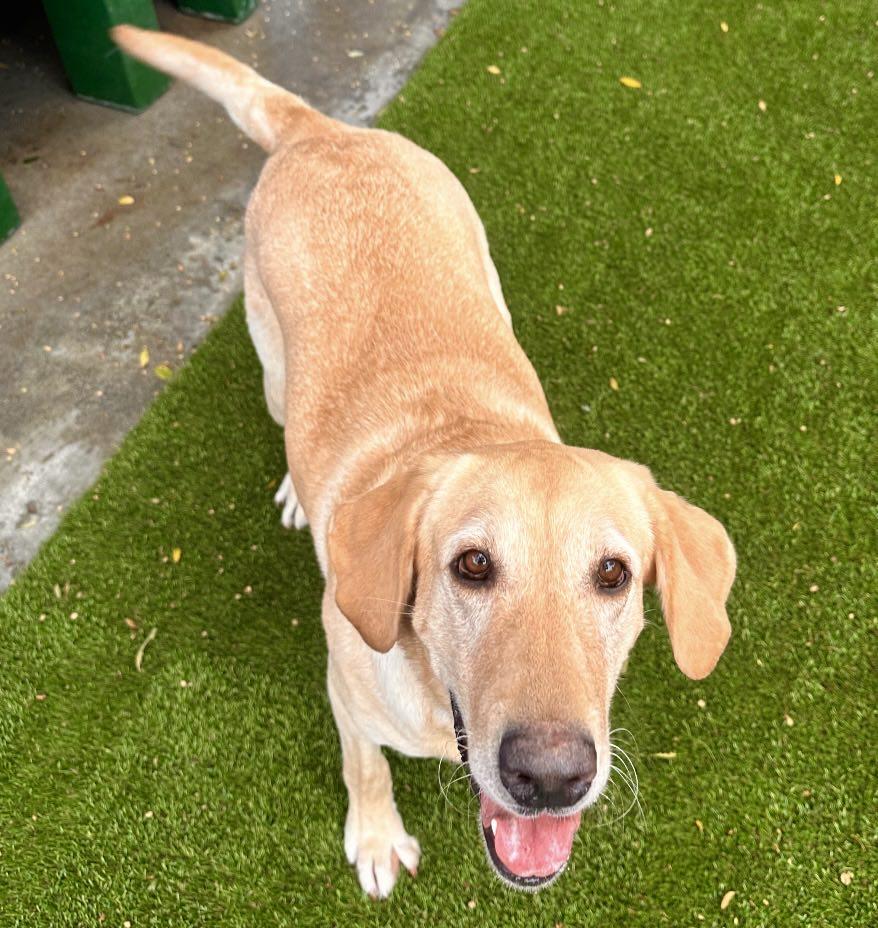 Adorable Ellie photo 5