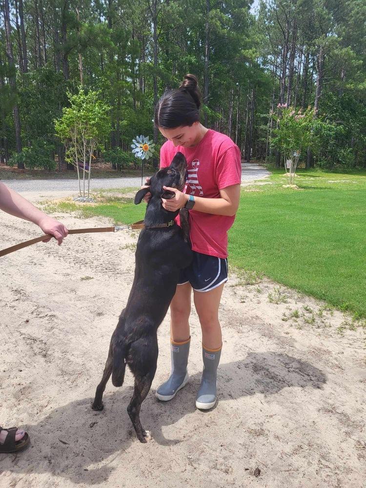 Harrison thumbnail 5