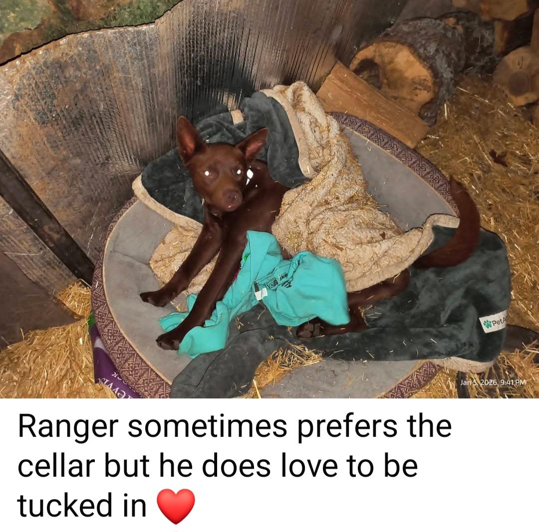 Ranger