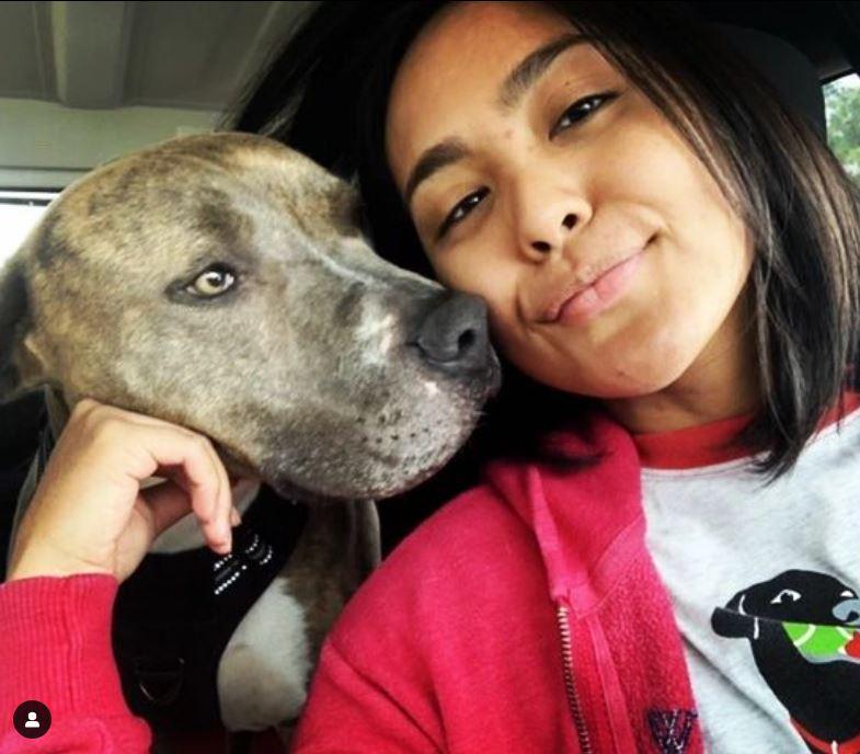 Enlarge Jaxon, a Adoptable American Staffordshire Terrier in San Diego, CA image 2/3