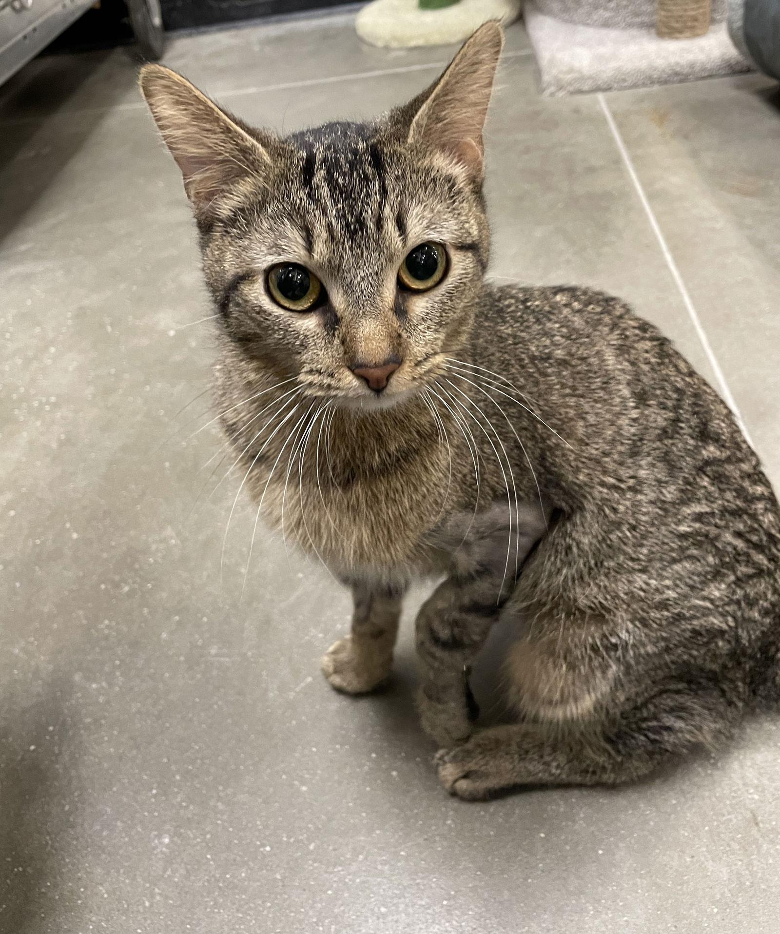 Wabi-sabi — thumbnail 2