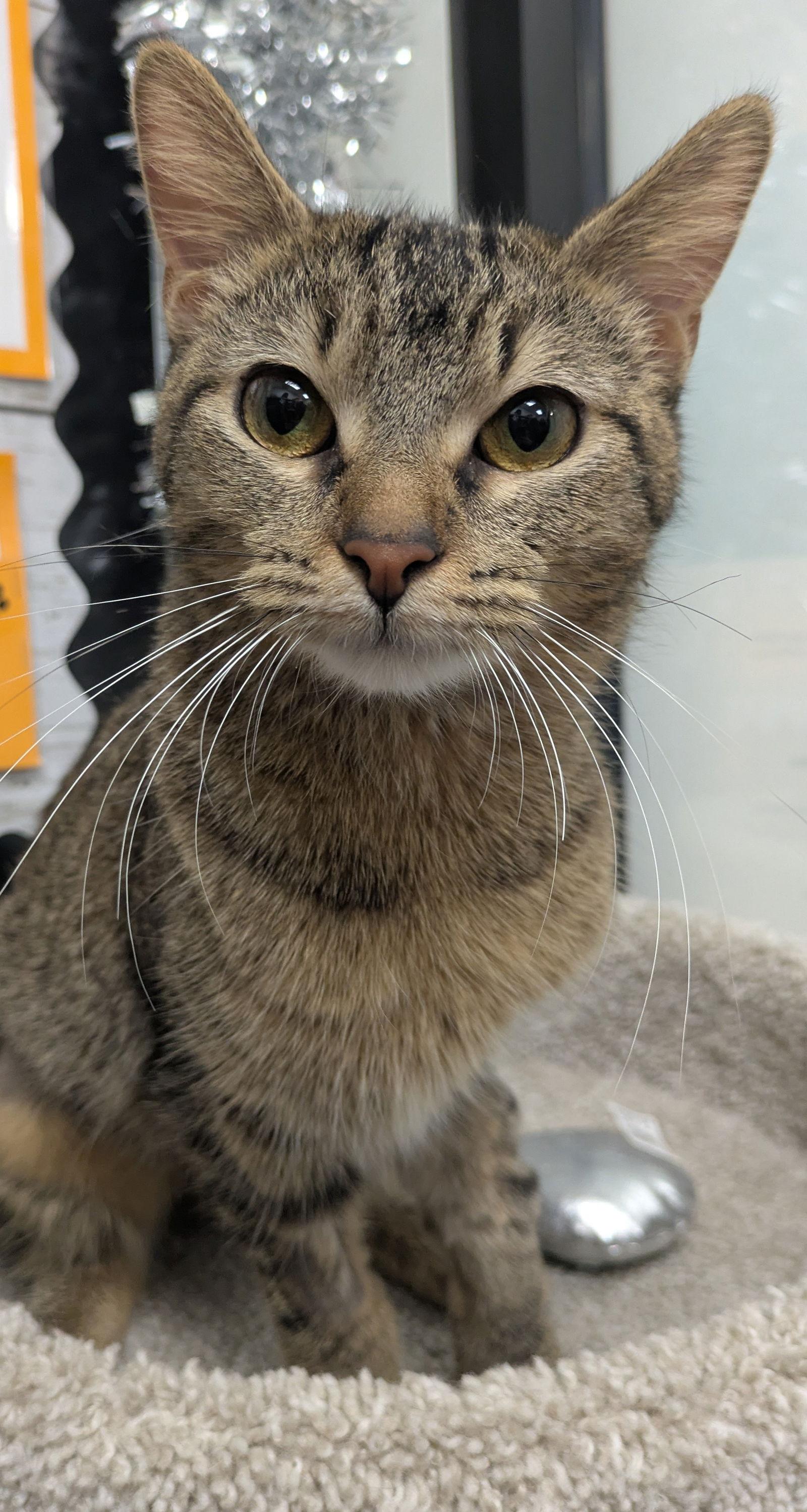 Wabi-sabi — thumbnail 3