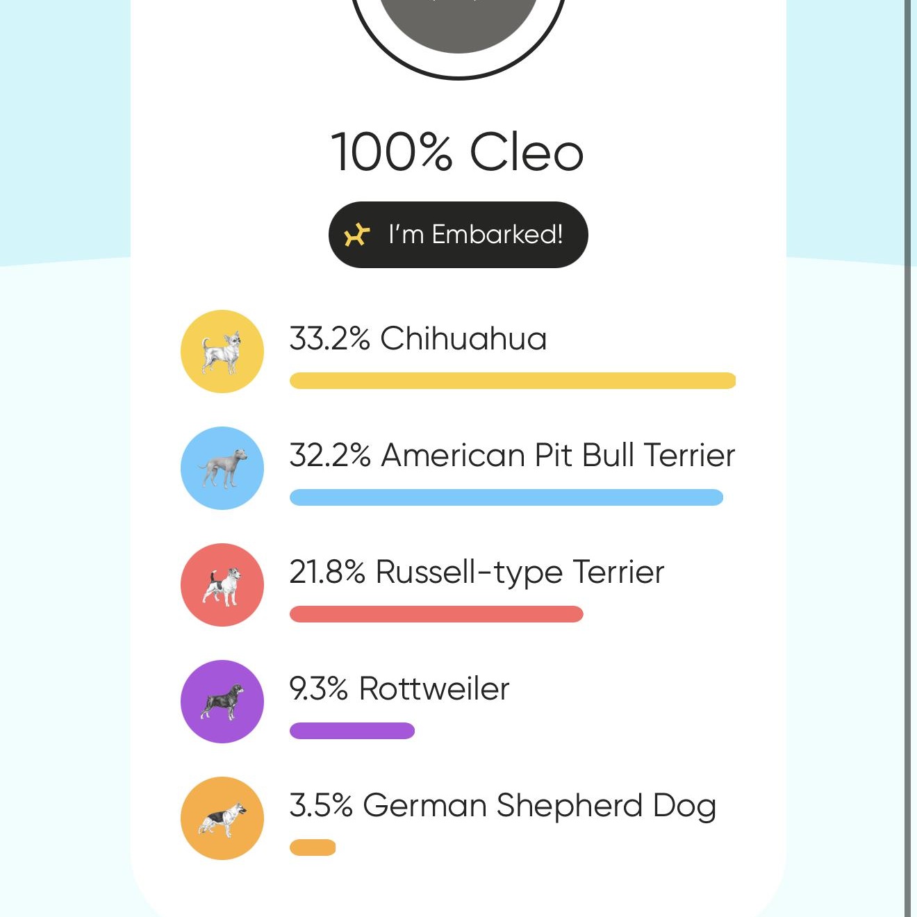 Enlarge Stella, an adoptable mixed breed in Jeffersonville, IN image 6/6