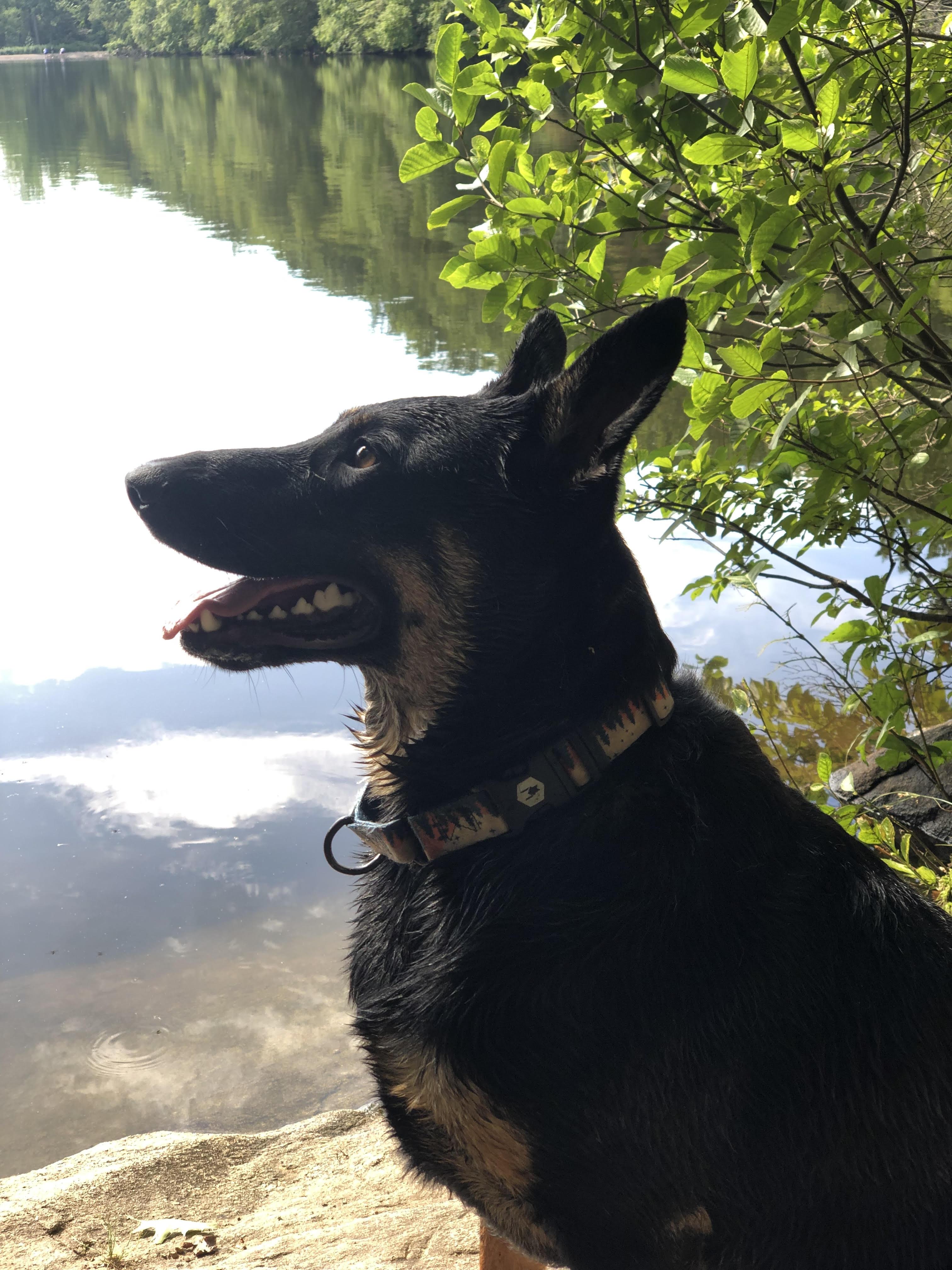 Dino Aka Tj thumbnail 3