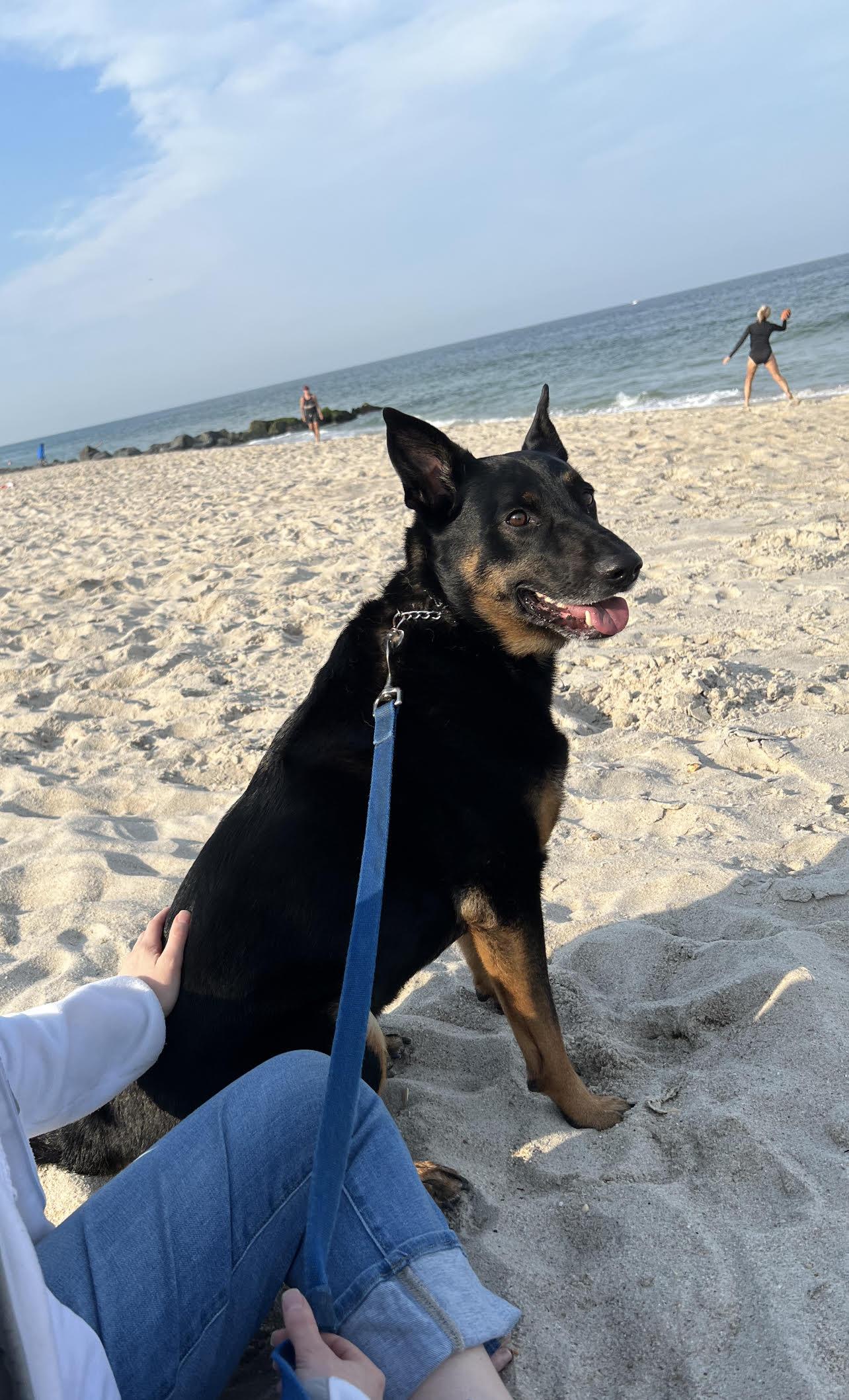 Dino Aka Tj thumbnail 4