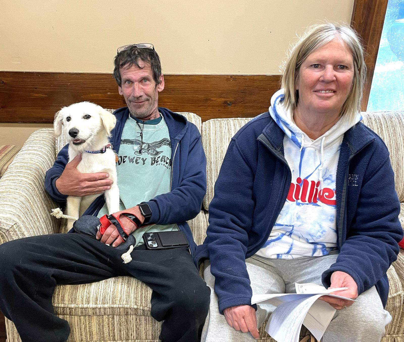 Acorn, a Adopted mixed breed in Mount Laurel, NJ image 3/3