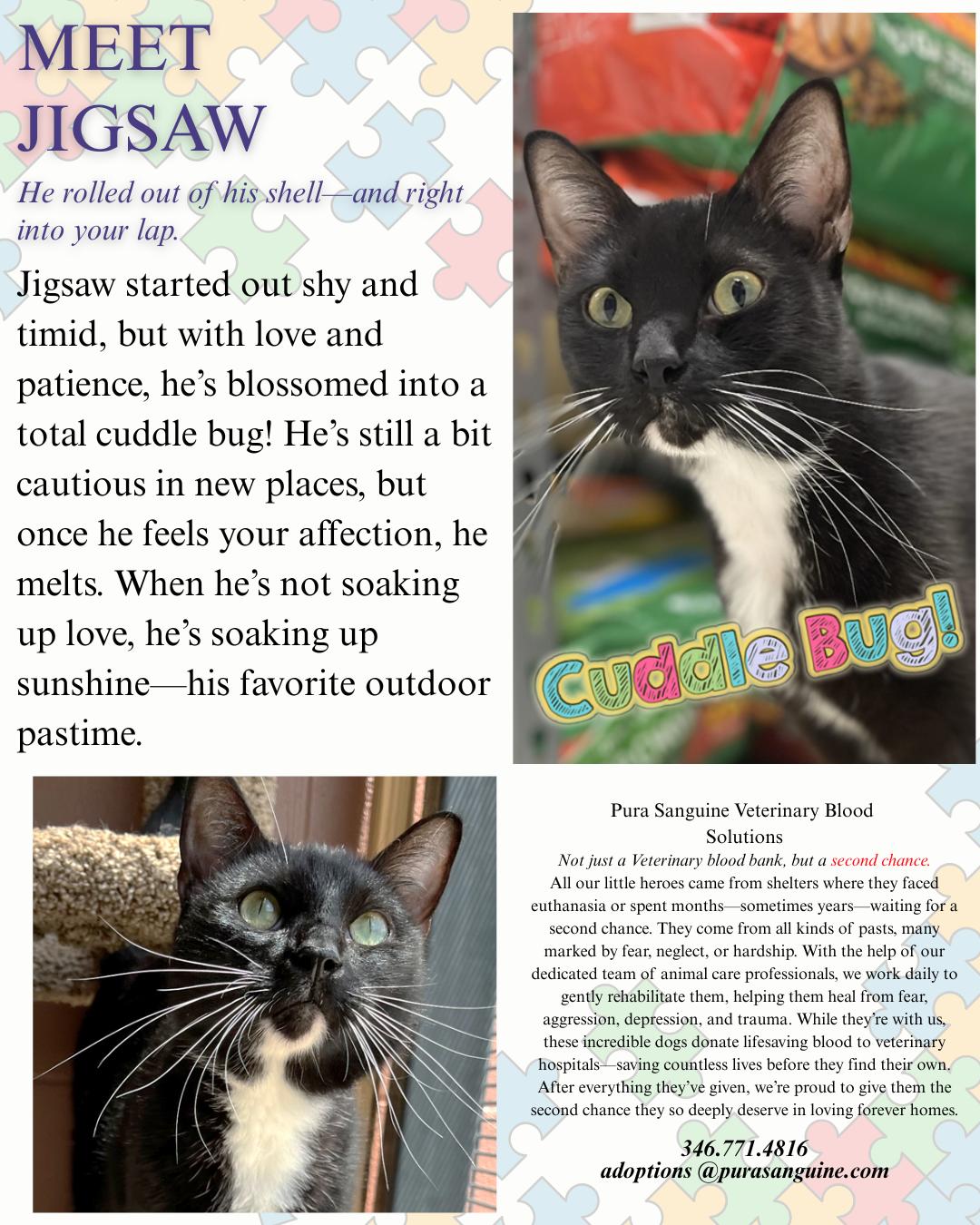 JIgSaw — thumbnail 5