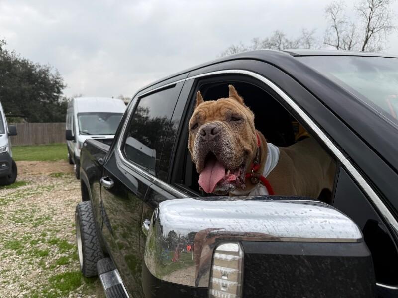 Rodney Roo has Heart Eyes for You — thumbnail 3