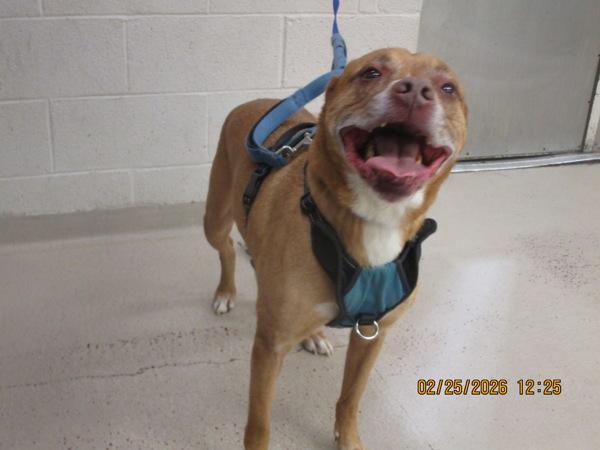 Quincy(833) — thumbnail 2