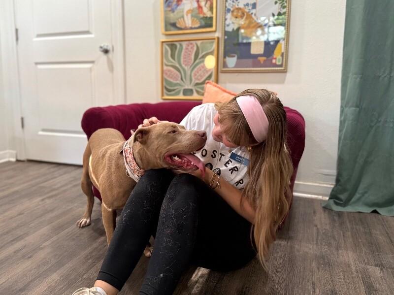 May with the Pretty Pittie Smile — thumbnail 2