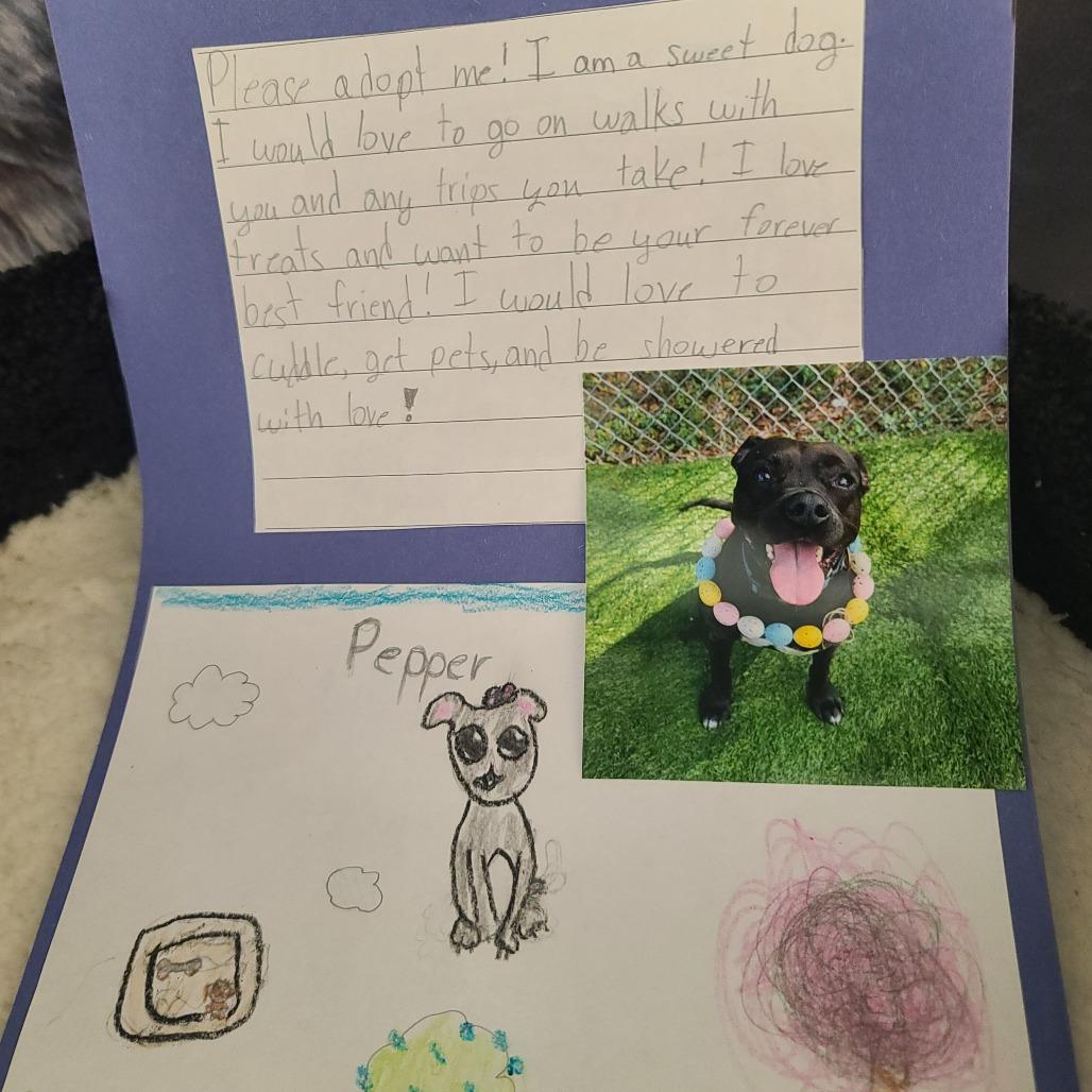 Enlarge Pepper, a Adoptable Pit Bull Terrier in Lake Panasoffkee, FL image 5/6