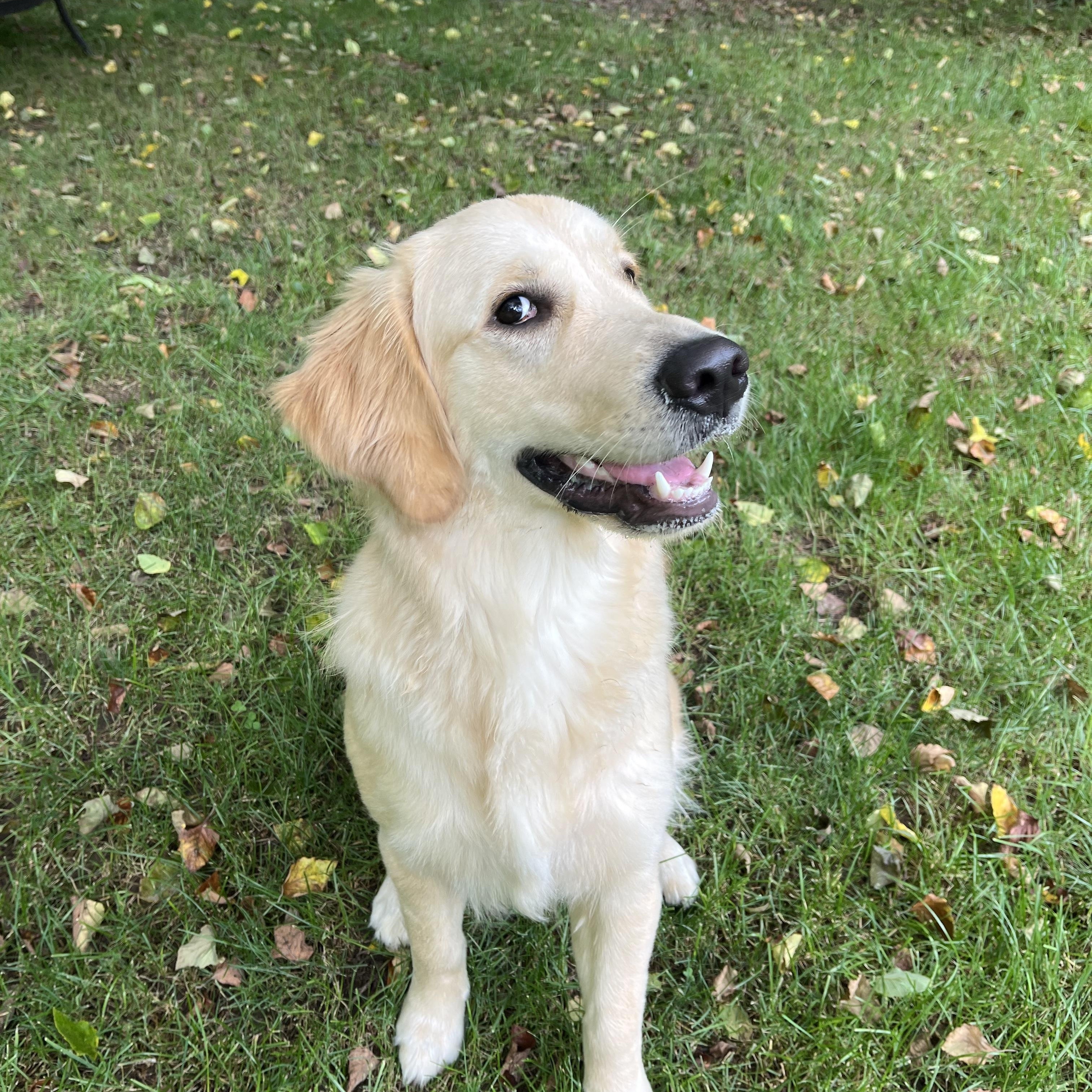 Annabella - In Ct thumbnail 3