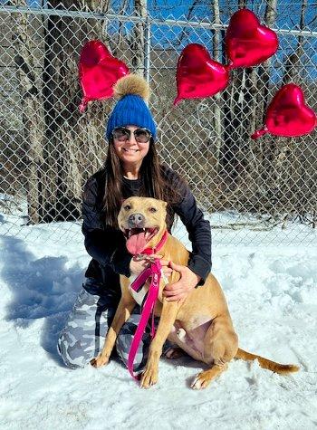 Enlarge Ripley, a Adoptable mixed breed in Bedford Hills, NY image 3/6