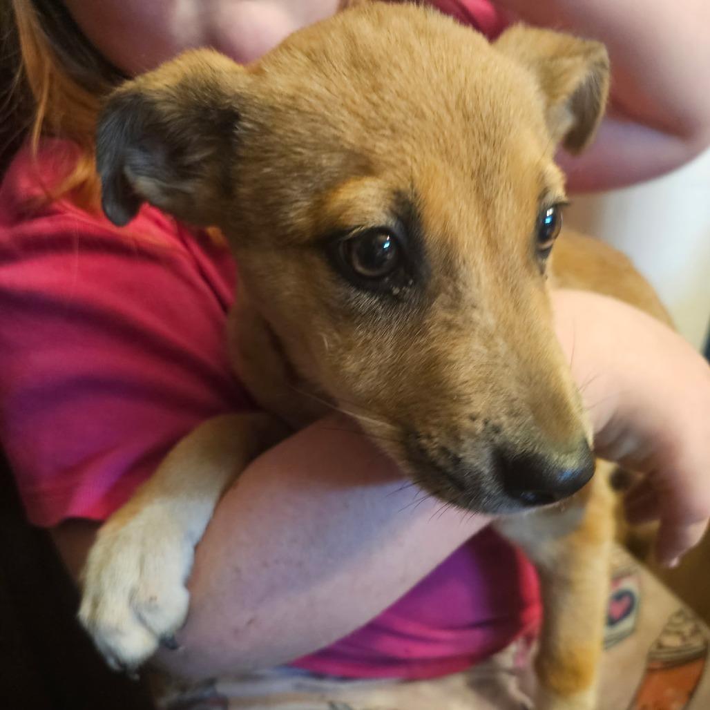 Kai-o — thumbnail 2