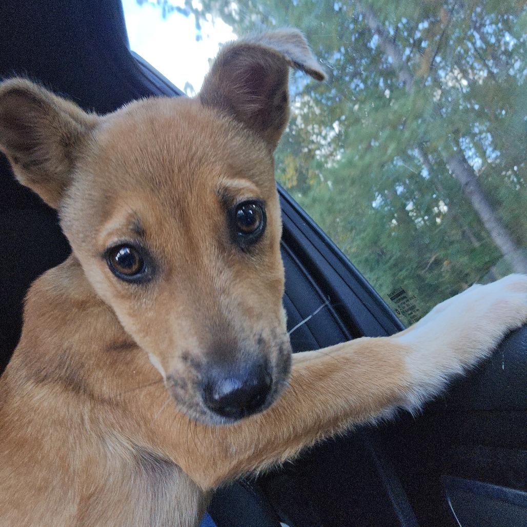 Kai-o — thumbnail 3