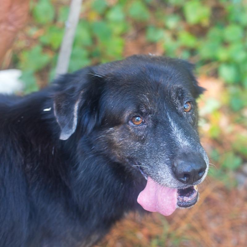 John — thumbnail 2