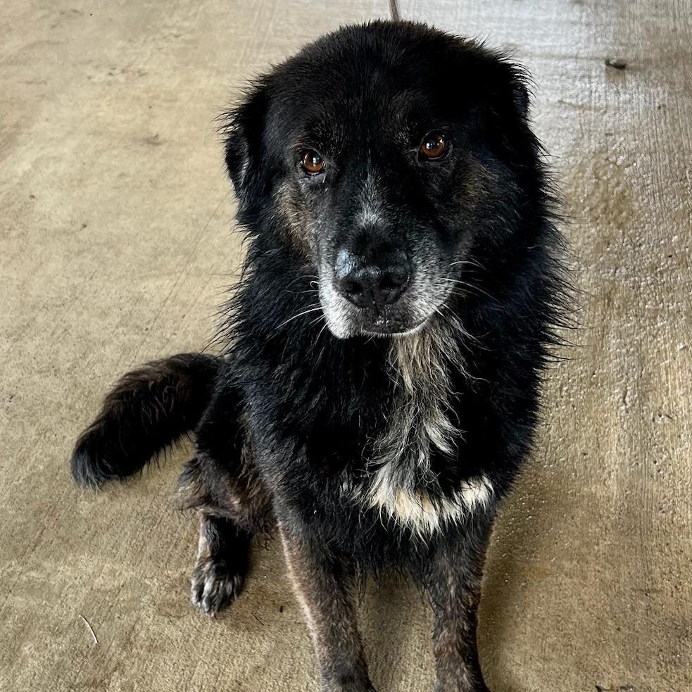 John — thumbnail 3