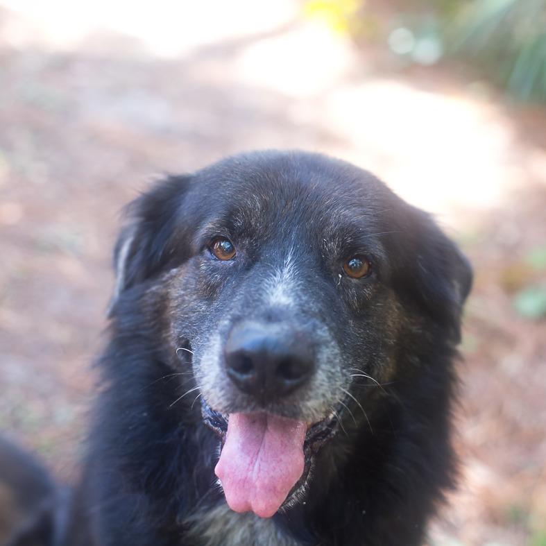 John — thumbnail 4