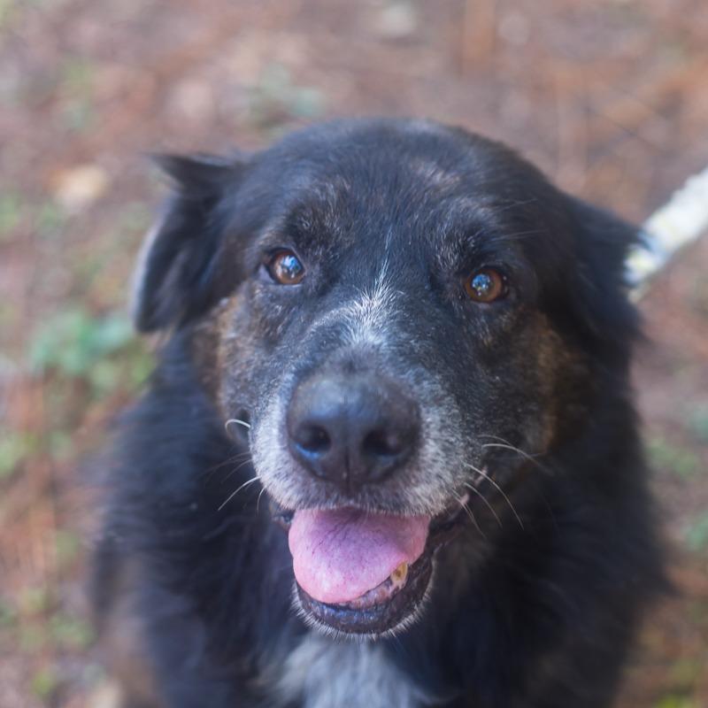 John — thumbnail 5