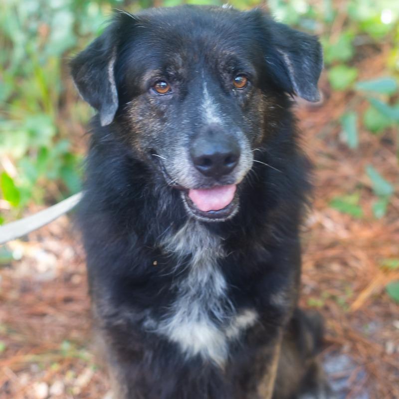 John — thumbnail 6